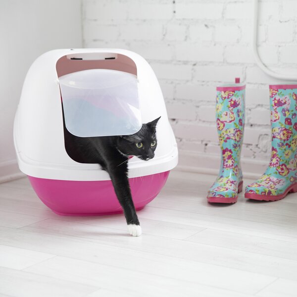 Petmate corner best sale litter box